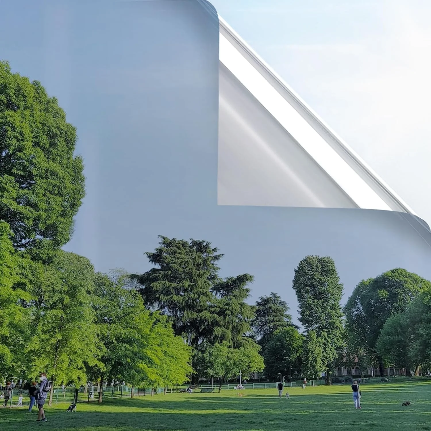 Privacy / Frosted Window Film